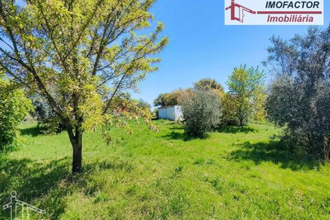 Farm hus i Nisa, Portalegre, Nisa - € 56.000 | Ref: 21-11882 - foto 10