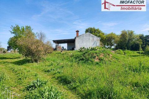 Farm hus i Nisa, Portalegre, Nisa - € 56.000 | Ref: 21-11882 - foto 11