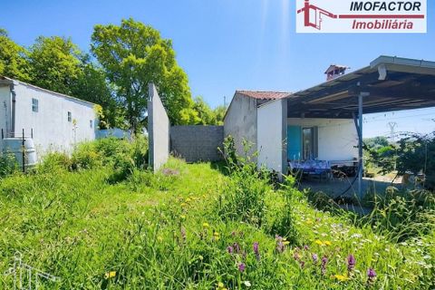 Farm hus i Nisa, Portalegre, Nisa - € 56.000 | Ref: 21-11882 - foto 12