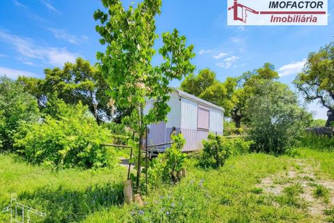 Farm hus i Nisa, Portalegre, Nisa - € 56.000 | Ref: 21-11882 - foto 20