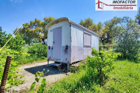 Farm hus i Nisa, Portalegre, Nisa - € 56.000 | Ref: 21-11882 - foto 21