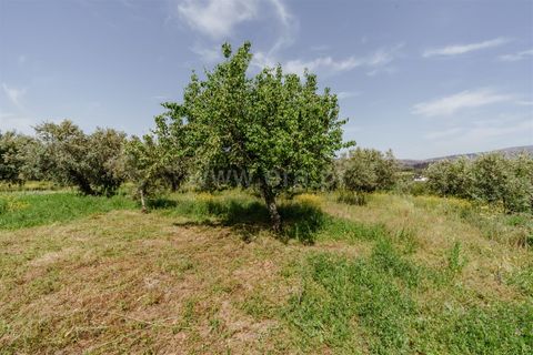 Helårsgrund i Covilha, Castelo Branco, Covilha - € 40.000 | Ref: 111260117 - foto 3