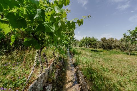 Helårsgrund i Covilha, Castelo Branco, Covilha - € 40.000 | Ref: 111260117 - foto 4