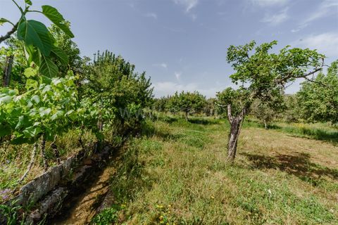 Helårsgrund i Covilha, Castelo Branco, Covilha - € 40.000 | Ref: 111260117 - foto 5