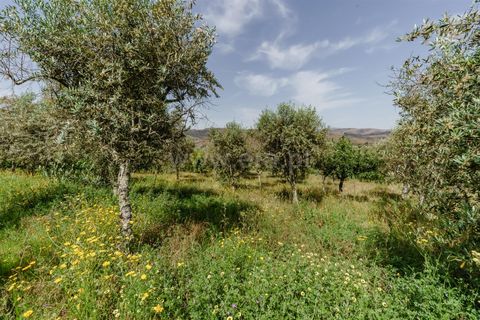 Helårsgrund i Covilha, Castelo Branco, Covilha - € 40.000 | Ref: 111260117 - foto 6