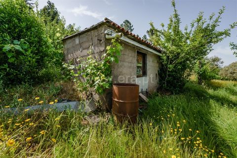 Helårsgrund i Covilha, Castelo Branco, Covilha - € 40.000 | Ref: 111260117 - foto 7