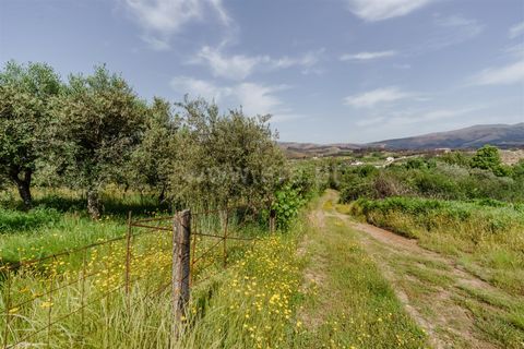 Helårsgrund i Covilha, Castelo Branco, Covilha - € 40.000 | Ref: 111260117 - foto 8