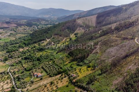 Helårsgrund i Covilha, Castelo Branco, Covilha - € 40.000 | Ref: 111260117 - foto 10