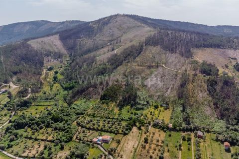 Helårsgrund i Covilha, Castelo Branco, Covilha - € 40.000 | Ref: 111260117 - foto 11