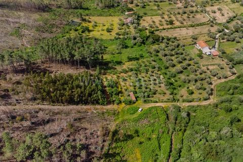 Helårsgrund i Covilha, Castelo Branco, Covilha - € 40.000 | Ref: 111260117 - foto 14