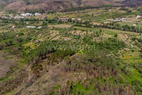 Helårsgrund i Covilha, Castelo Branco, Covilha - € 40.000 | Ref: 111260117 - foto 15
