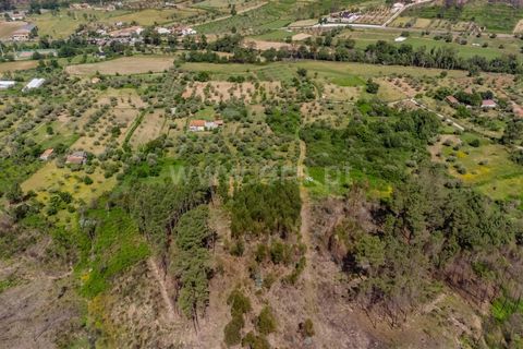 Helårsgrund i Covilha, Castelo Branco, Covilha - € 40.000 | Ref: 111260117 - foto 16