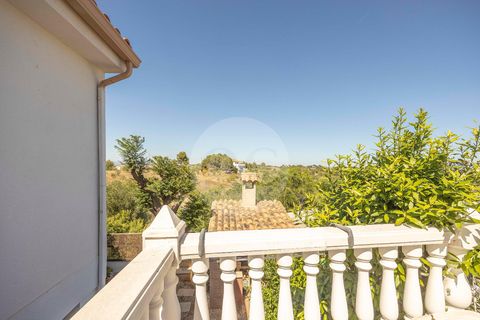 Villa i Montserrat, Valencia, Montserrat - € 399.900 | Ref: TB065/6904 - foto 36