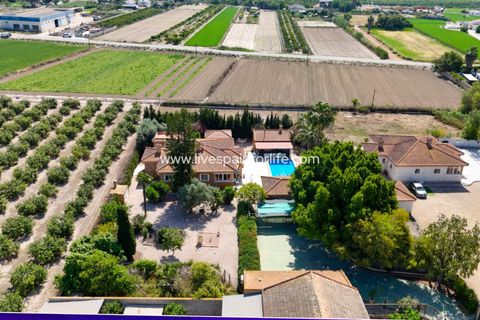 Herregård i Rojales, Alicante, Rojales - € 650 000 | Ref: LF-14648-D - foto 9