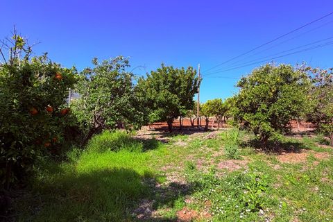 Landsbyhus i Soller, Mallorca, Soller - € 995.000 | Ref: C2031/13728 - foto 26