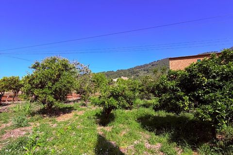 Landsbyhus i Soller, Mallorca, Soller - € 995.000 | Ref: C2031/13728 - foto 27