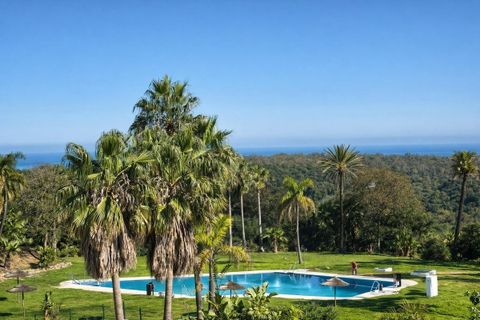 Lejlighed i Sotogrande, Cadiz, Sotogrande - € 495.000 | Ref: SMSS6497 - foto 3