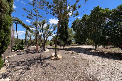 Finca i Dolores, Alicante, Dolores - € 485.000 | Ref: MLSC5311669 - foto 31