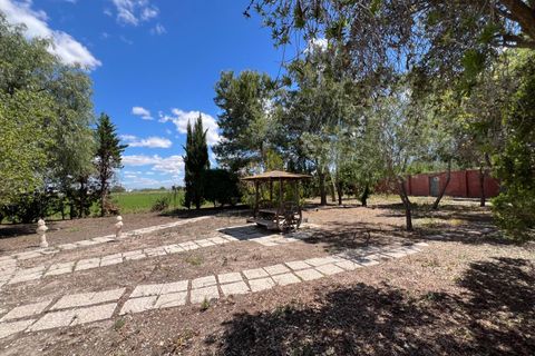 Finca i Dolores, Alicante, Dolores - € 485.000 | Ref: MLSC5311669 - foto 33