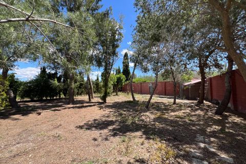 Finca i Dolores, Alicante, Dolores - € 485.000 | Ref: MLSC5311669 - foto 34