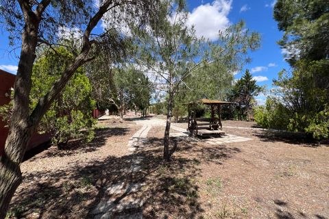 Finca i Dolores, Alicante, Dolores - € 485.000 | Ref: MLSC5311669 - foto 35