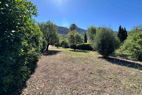 Finca i Andratx, Mallorca, Andratx - € 1.650.000 | Ref: FALC-StBa-85654 - foto 46