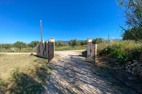 Finca i Sax, Alicante, Sax - € 229 995 | Ref: 18229 - foto 7