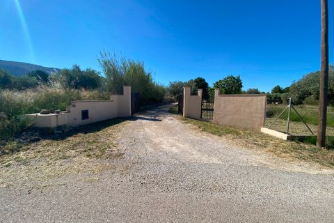 Finca i Sax, Alicante, Sax - € 229 995 | Ref: 18229 - foto 8