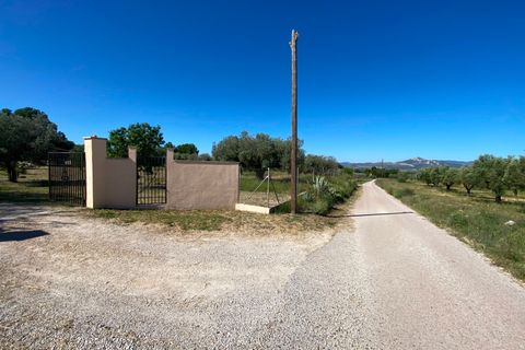 Finca i Sax, Alicante, Sax - € 229 995 | Ref: 18229 - foto 9