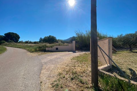 Finca i Sax, Alicante, Sax - € 229 995 | Ref: 18229 - foto 11