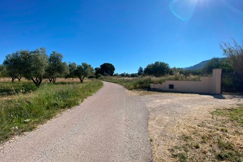 Finca i Sax, Alicante, Sax - € 229 995 | Ref: 18229 - foto 12