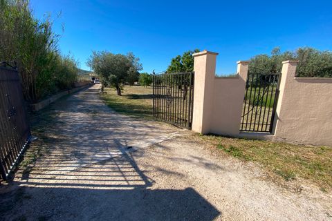 Finca i Sax, Alicante, Sax - € 229 995 | Ref: 18229 - foto 13