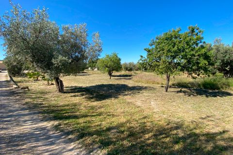 Finca i Sax, Alicante, Sax - € 229 995 | Ref: 18229 - foto 14