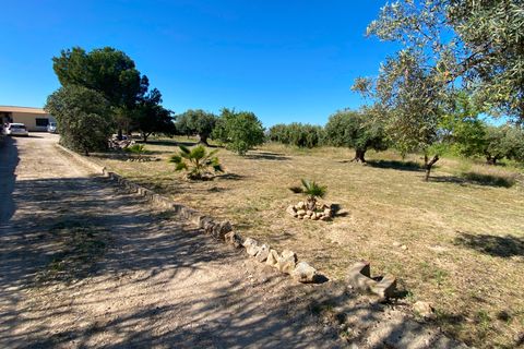 Finca i Sax, Alicante, Sax - € 229 995 | Ref: 18229 - foto 15