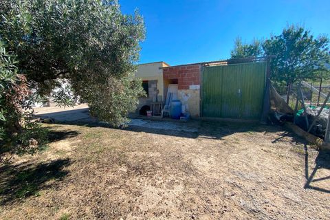 Finca i Sax, Alicante, Sax - € 229 995 | Ref: 18229 - foto 16