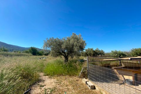 Finca i Sax, Alicante, Sax - € 229 995 | Ref: 18229 - foto 18