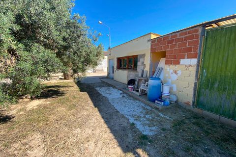 Finca i Sax, Alicante, Sax - € 229 995 | Ref: 18229 - foto 19