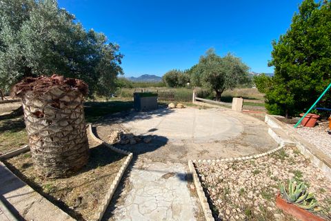 Finca i Sax, Alicante, Sax - € 229 995 | Ref: 18229 - foto 22