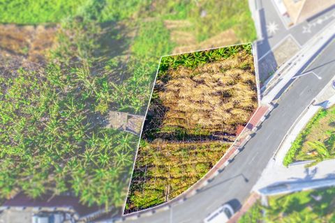 Helårsgrund i Camara de Lobos, Madeira, Camara de Lobos - € 110.000 | Ref: 00623-BT - foto 3