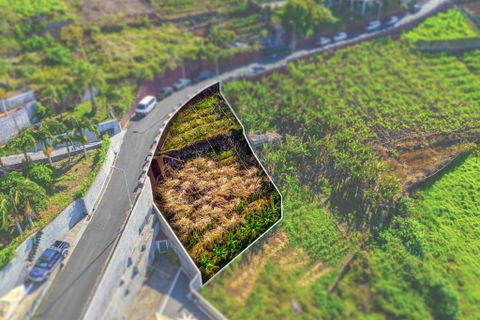 Helårsgrund i Camara de Lobos, Madeira, Camara de Lobos - € 110.000 | Ref: 00623-BT - foto 8