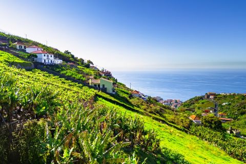 Helårsgrund i Camara de Lobos, Madeira, Camara de Lobos - € 110.000 | Ref: 00623-BT - foto 12