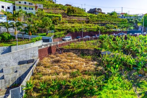 Helårsgrund i Camara de Lobos, Madeira, Camara de Lobos - € 110.000 | Ref: 00623-BT - foto 14