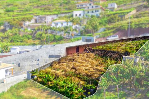 Helårsgrund i Camara de Lobos, Madeira, Camara de Lobos - € 110.000 | Ref: 00623-BT - foto 17