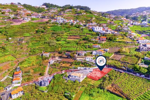 Helårsgrund i Camara de Lobos, Madeira, Camara de Lobos - € 110.000 | Ref: 00623-BT - foto 19