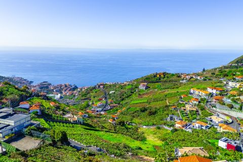 Helårsgrund i Camara de Lobos, Madeira, Camara de Lobos - € 110.000 | Ref: 00623-BT - foto 22