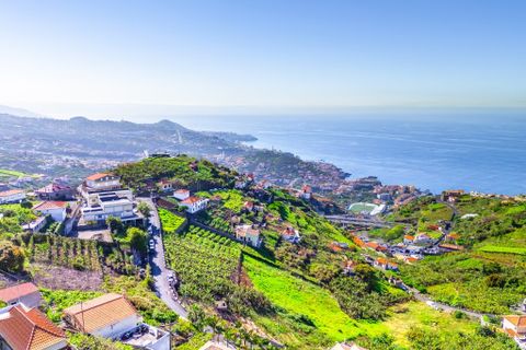 Helårsgrund i Camara de Lobos, Madeira, Camara de Lobos - € 110.000 | Ref: 00623-BT - foto 23