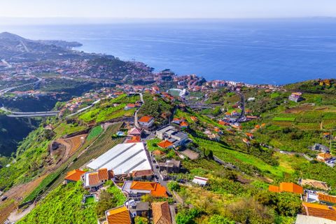 Helårsgrund i Camara de Lobos, Madeira, Camara de Lobos - € 110.000 | Ref: 00623-BT - foto 33