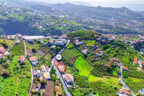 Helårsgrund i Camara de Lobos, Madeira, Camara de Lobos - € 110.000 | Ref: 00623-BT - foto 35