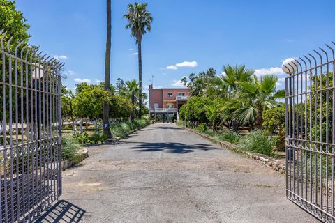Gård i Sanlucar La Mayor, Sevilla - foto 3