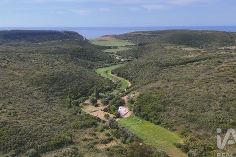 Farm i Sagres, Faro, Sagres - € 1.250.000 | Ref: 927952 - foto 3